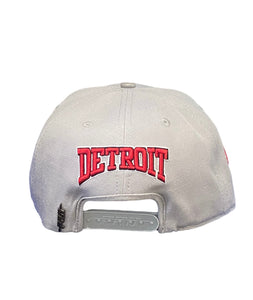 Pro Red Wings Embroidered Snapback Gray