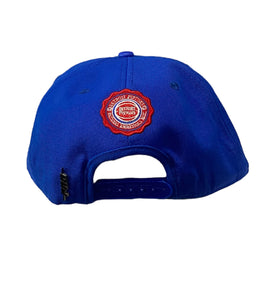 Pro Pistons Detroit Hat