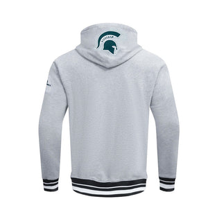 Pro Michigan State Embroidered Hoodie Gray